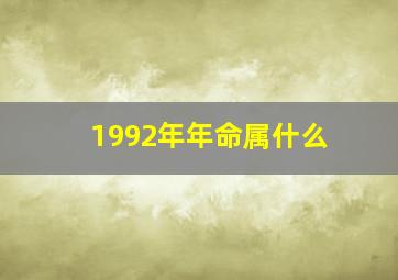 1992年年命属什么