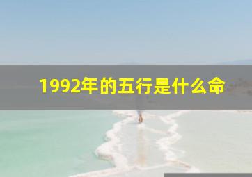 1992年的五行是什么命