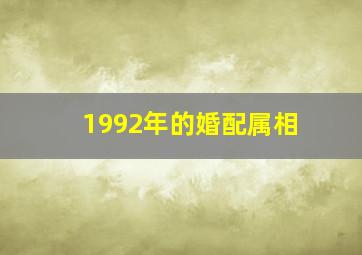 1992年的婚配属相