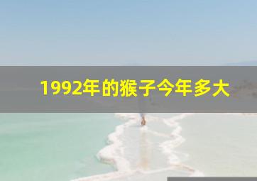 1992年的猴子今年多大