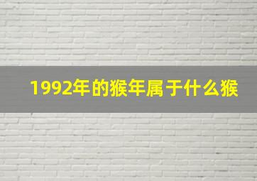 1992年的猴年属于什么猴