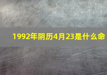 1992年阴历4月23是什么命