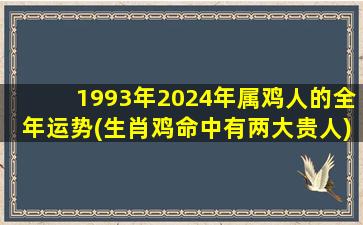 1993年2024年属鸡人的全年运势(生肖鸡命中有两大贵人)