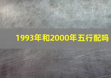 1993年和2000年五行配吗