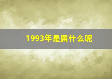 1993年是属什么呢