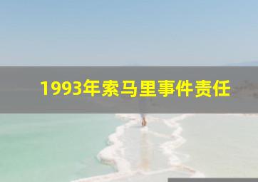 1993年索马里事件责任