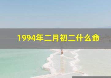 1994年二月初二什么命