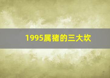 1995属猪的三大坎