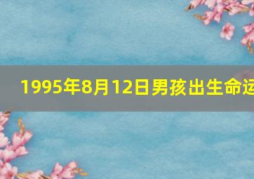 1995年8月12日男孩出生命运