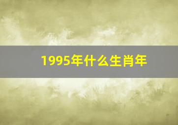 1995年什么生肖年