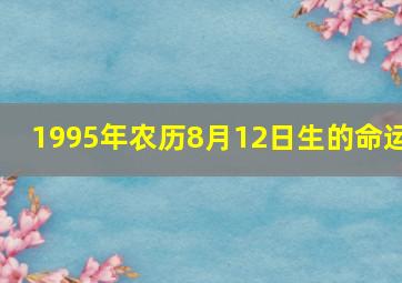 1995年农历8月12日生的命运