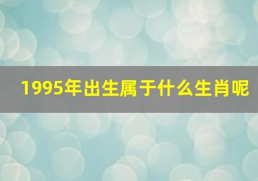 1995年出生属于什么生肖呢