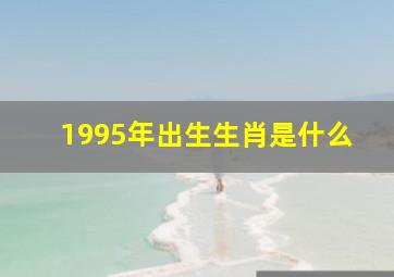 1995年出生生肖是什么