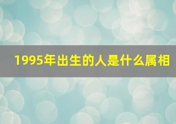 1995年出生的人是什么属相