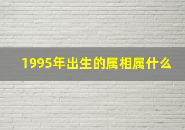 1995年出生的属相属什么