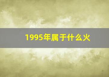 1995年属于什么火