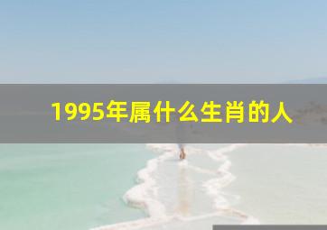 1995年属什么生肖的人