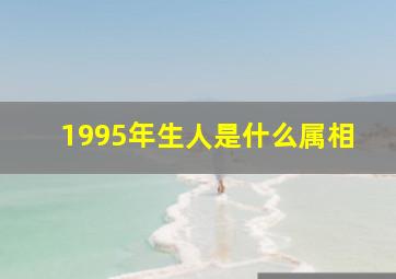 1995年生人是什么属相