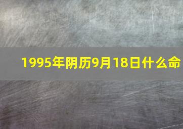 1995年阴历9月18日什么命