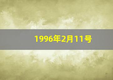 1996年2月11号