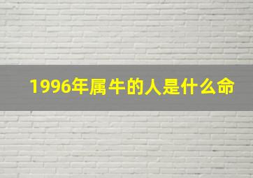 1996年属牛的人是什么命