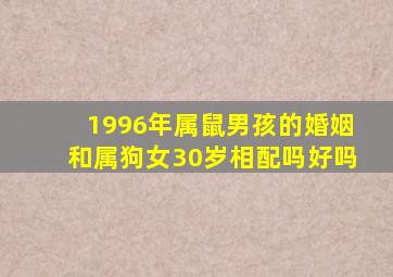 1996年属鼠男孩的婚姻和属狗女30岁相配吗好吗