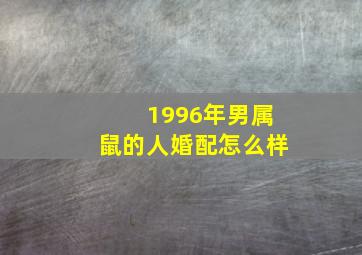 1996年男属鼠的人婚配怎么样