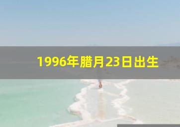 1996年腊月23日出生