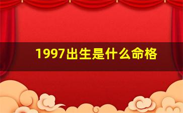 1997出生是什么命格