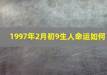 1997年2月初9生人命运如何