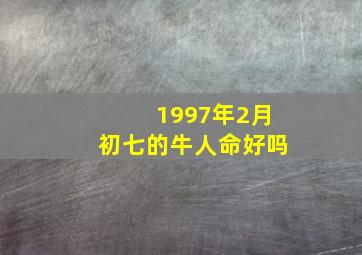 1997年2月初七的牛人命好吗