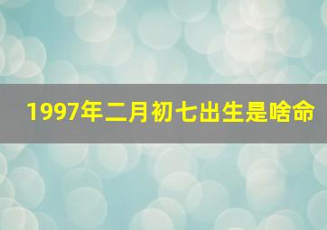 1997年二月初七出生是啥命