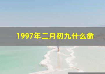 1997年二月初九什么命