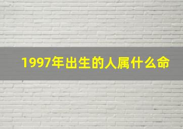 1997年出生的人属什么命