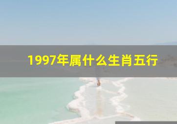 1997年属什么生肖五行