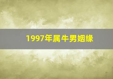 1997年属牛男姻缘