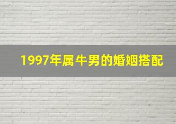 1997年属牛男的婚姻搭配