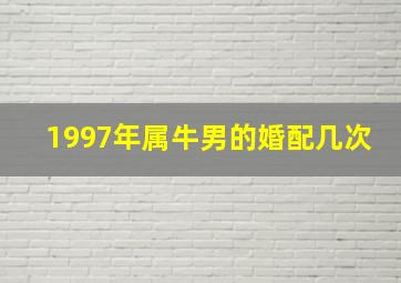 1997年属牛男的婚配几次