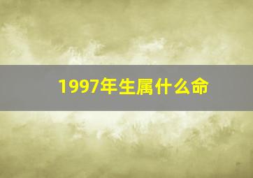 1997年生属什么命