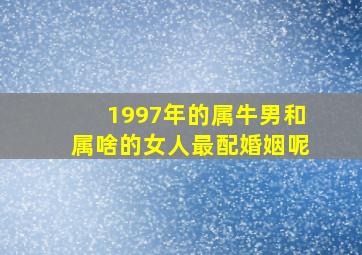 1997年的属牛男和属啥的女人最配婚姻呢