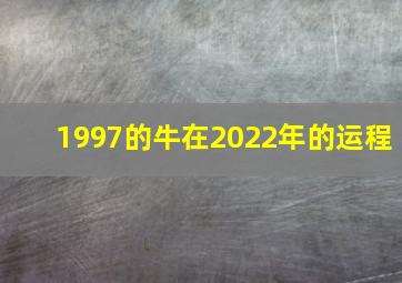 1997的牛在2022年的运程