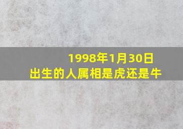 1998年1月30日出生的人属相是虎还是牛