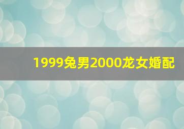 1999兔男2000龙女婚配