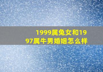 1999属兔女和1997属牛男婚姻怎么样