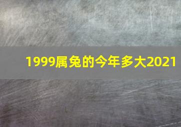 1999属兔的今年多大2021