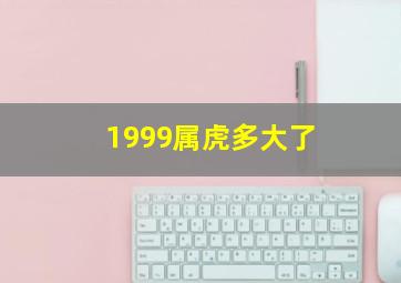 1999属虎多大了