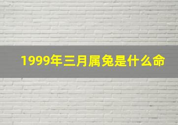 1999年三月属兔是什么命