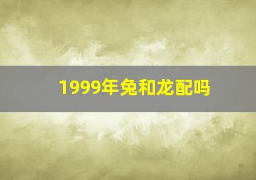 1999年兔和龙配吗