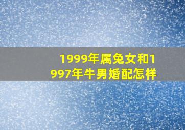 1999年属兔女和1997年牛男婚配怎样