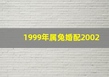 1999年属兔婚配2002